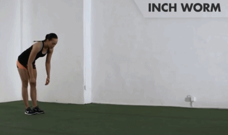 26.gif