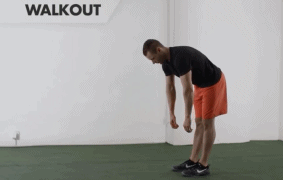 27.gif