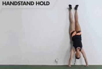 29.gif