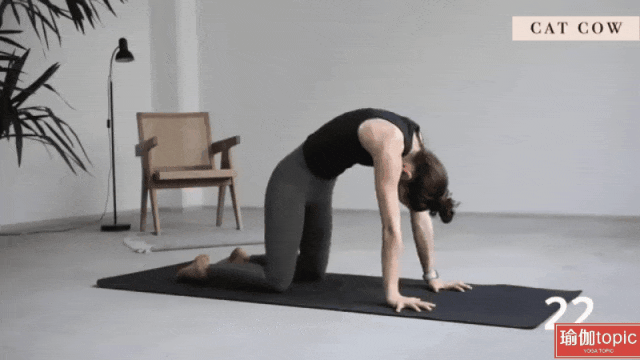 4.gif