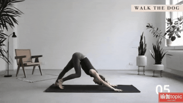 7.gif