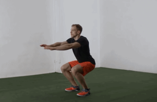 1.gif
